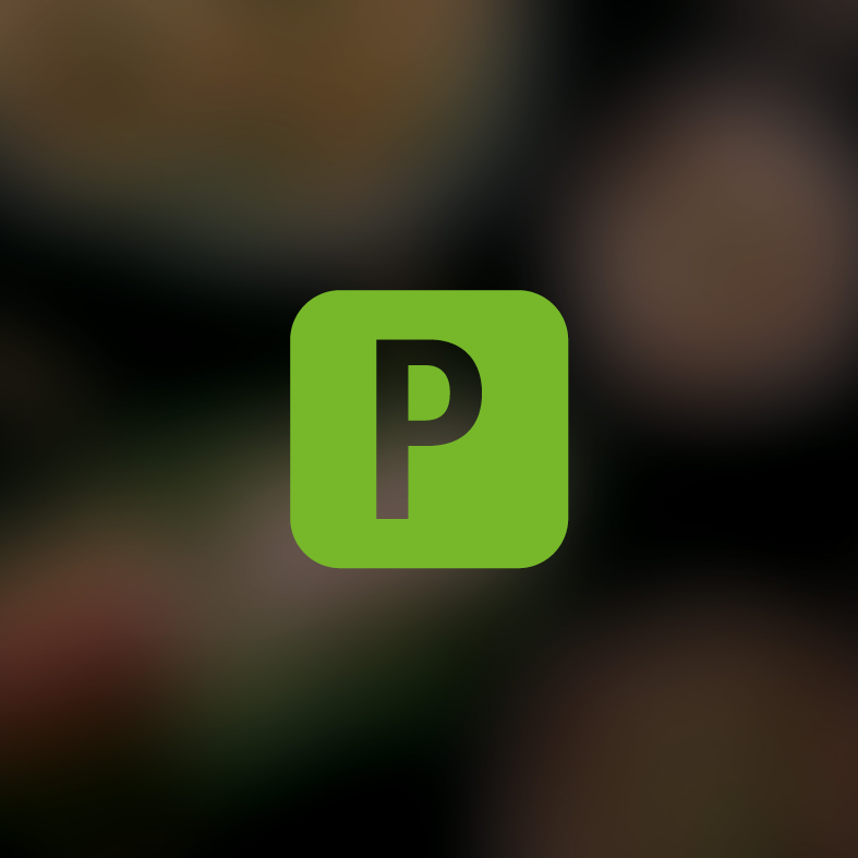 Icon Parkplatzschild