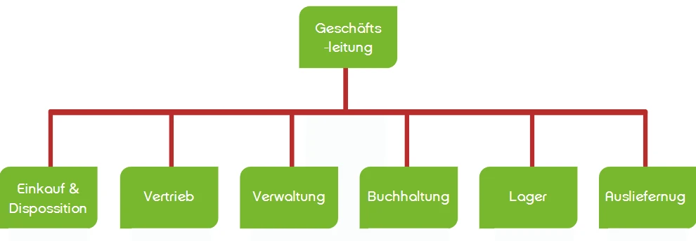 Organigramm Organigramm, das Geschäftsführung anderen Bereichen überordnet
